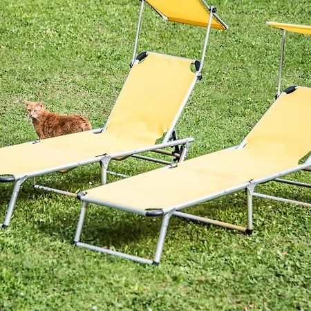 Apartment Pouringraz Fuer Kunst- Und Tennisliebhaber Zewnętrze zdjęcie