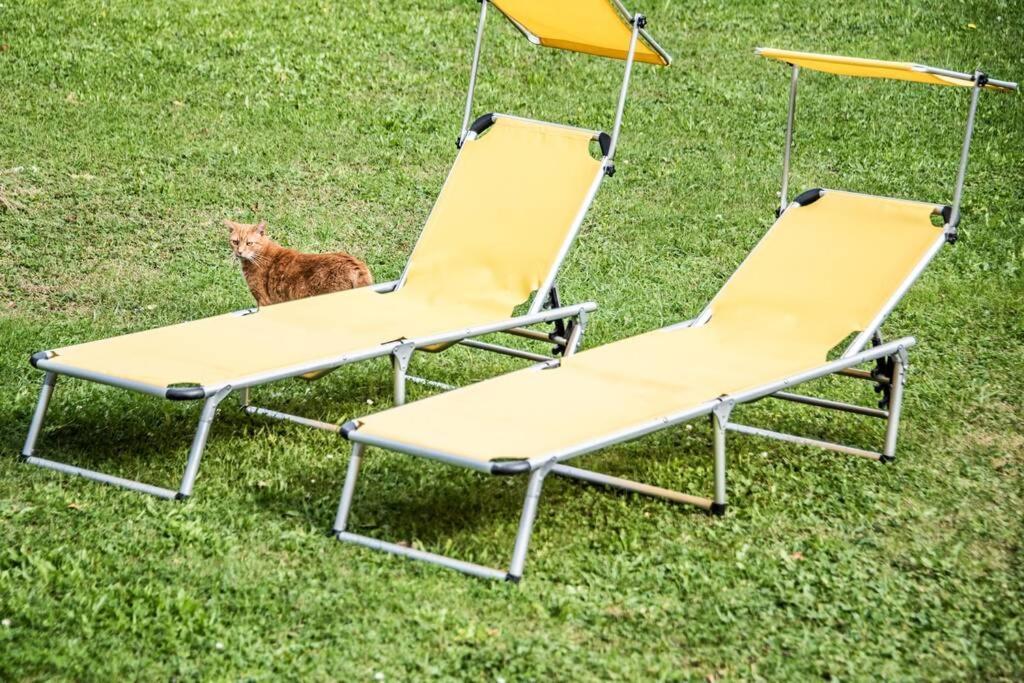 Apartment Pouringraz Fuer Kunst- Und Tennisliebhaber Zewnętrze zdjęcie