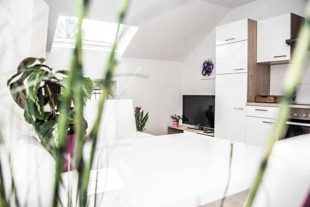 Apartment Pouringraz Fuer Kunst- Und Tennisliebhaber Zewnętrze zdjęcie